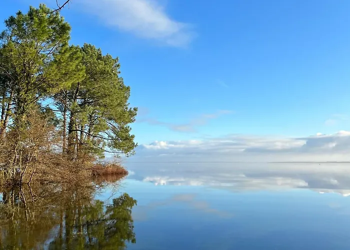 Βίλα La Capucine Biscarrosse