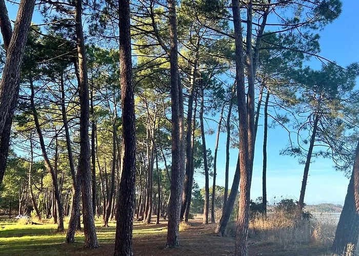 La Capucine * Biscarrosse