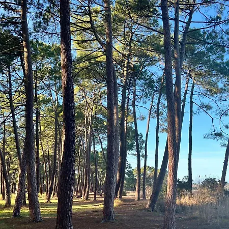 La Capucine * Biscarrosse